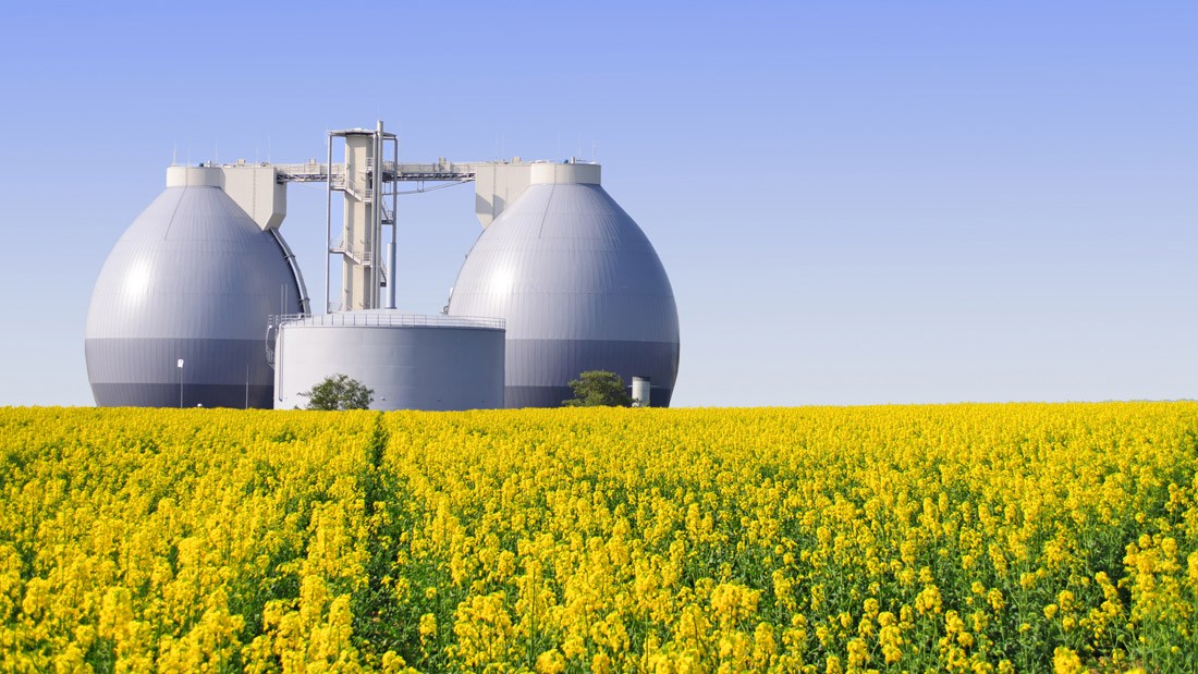 Biogas generation: turning waste into three valuable products